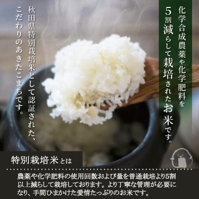 ふるさと納税 大館市 【令和8年産】特別栽培米あきたこまちまごころ米 無洗米10kg【ふるさと納税3.0】 |  | 03