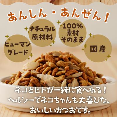 ふるさと納税 焼津市 ねこ様用15点セット(a30-295)の画像