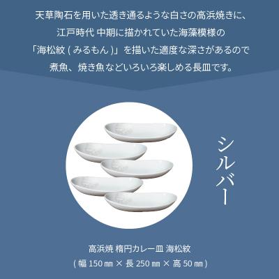 ふるさと納税 天草市 天草 高浜焼 楕円カレー皿 5枚セット(シルバー)_S026-057の画像