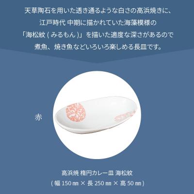 ふるさと納税 天草市 天草 高浜焼 楕円カレー皿 1枚(赤)_S026-060の画像