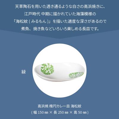 ふるさと納税 天草市 天草 高浜焼 楕円カレー皿 1枚(緑)_S026-061の画像