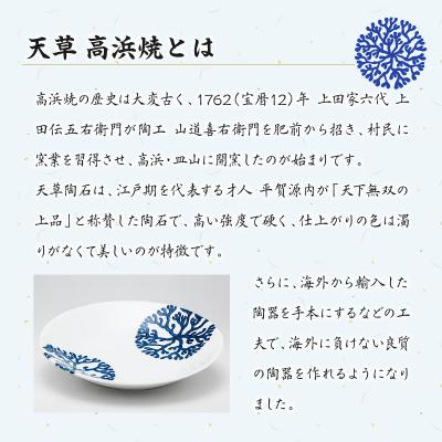 ふるさと納税 天草市 天草 高浜焼 楕円カレー皿 1枚(緑)_S026-061の画像