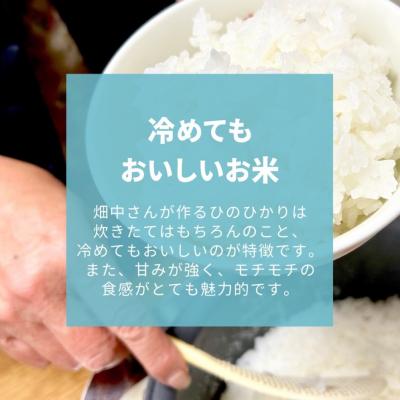 ふるさと納税 三宅町 【6回定期便】減農薬 特別栽培米 畑中さん ひの