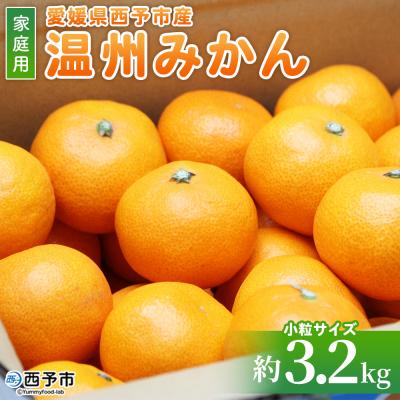ふるさと納税 西予市 [先行受付]<愛媛県西予市産> 温州みかん 小粒サイズ 家庭用 約3.2kg