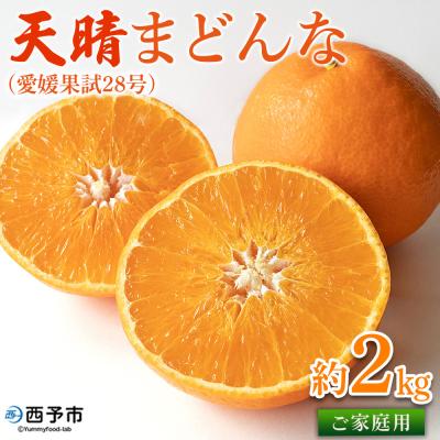 ふるさと納税 西予市 天晴まどんな(愛媛果試28号)ご家庭用 約2kg