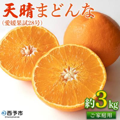 ふるさと納税 西予市 天晴まどんな(愛媛果試28号)ご家庭用 約3kg