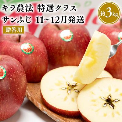 ふるさと納税 平川市 11〜12月 贈答用 キラ農法 特選クラス 完熟りんご サンふじ約3kg [平川市広船産]