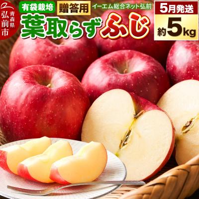 ふるさと納税 弘前市 EMりんご 贈答用 葉取らず ふじ 約5kg(有袋栽培・CA貯蔵)|24_ems-020501b