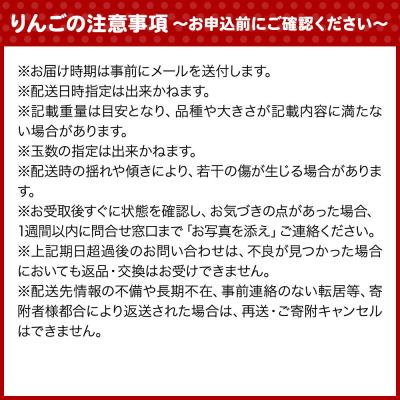 ふるさと納税 弘前市 りんご【26年12月発送】葉取らずサンふじ【訳あり】約10kg　蜜入り|24_ems-031001b |  | 01