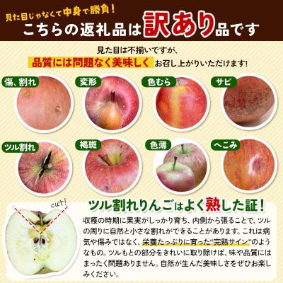 ふるさと納税 弘前市 りんご【26年12月発送】葉取らずサンふじ【訳あり】約10kg　蜜入り|24_ems-031001b |  | 02