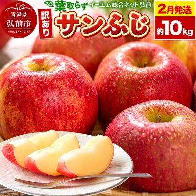 ふるさと納税 弘前市 りんご[27年2月発送]葉取らず サンふじ[訳あり]約10kg|24_ems-031001d