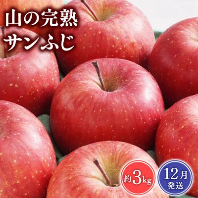ふるさと納税 平川市 [2026年12月発送]吹田りんご園 山の完熟サンふじ約3kg [青森りんご・平川市広船産]