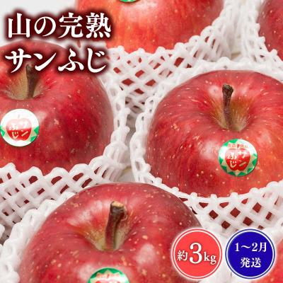 ふるさと納税 平川市 [1~3月発送] 吹田りんご園 山の完熟サンふじ約3kg [青森りんご・平川市広船産]