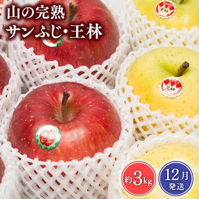 ふるさと納税 平川市 [2026年12月発送] 吹田りんご園 山の完熟サンふじ・王林約3kg[青森りんご・平川市広船産]