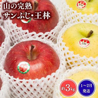 ふるさと納税 平川市 [1~2月発送] 吹田りんご園 山の完熟サンふじ・王林約3kg[青森りんご・平川市広船産]