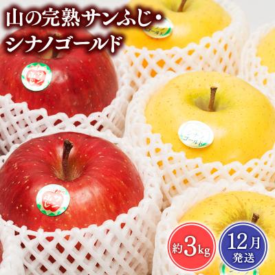 ふるさと納税 平川市 [2026年12月発送] 吹田りんご園 山の完熟サンふじ・シナノゴールド約3kg [平川市広船産]