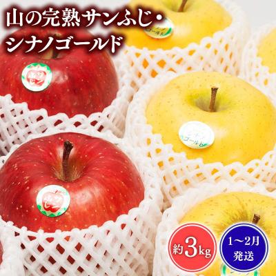 ふるさと納税 平川市 [1~2月発送] 吹田りんご園 山の完熟サンふじ・シナノゴールド約3kg [平川市広船産]