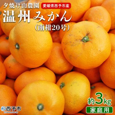 ふるさと納税 西予市 夕焼け山農園　愛媛県西予市産　温州みかん　家庭用　3kg | 