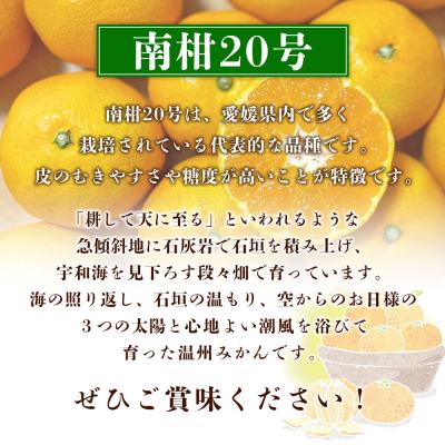 ふるさと納税 西予市 夕焼け山農園　愛媛県西予市産　温州みかん　家庭用　3kg |  | 01