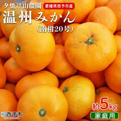 ふるさと納税 西予市 夕焼け山農園 愛媛県西予市産 温州みかん 家庭用 5kg