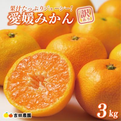ふるさと納税 愛南町 先行受付 訳あり 愛媛みかん 3kg 温州 みかん mikan 蜜柑 ミカン 愛南町 吉田農園