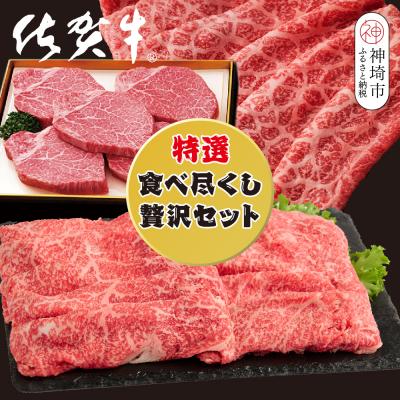 ふるさと納税 神埼市 [3回定期便]佐賀牛特選食べ尽くし贅沢セット(H996P101)
