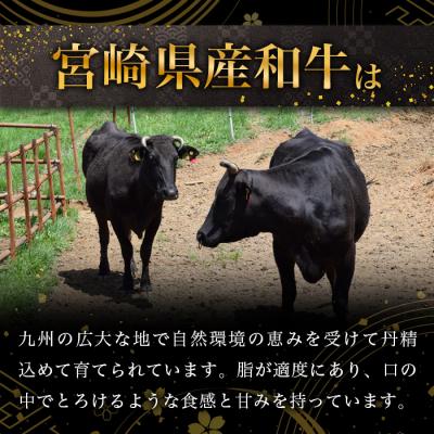 ふるさと納税 椎葉村 宮崎県産 和牛 切り落とし 900g×2(1,800g) TK-99 |  | 01