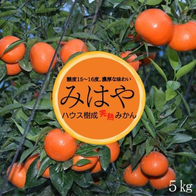 ふるさと納税 宇佐市 みはや(約5kg)ハウス 樹成 完熟みかん[111600100][永木農園]