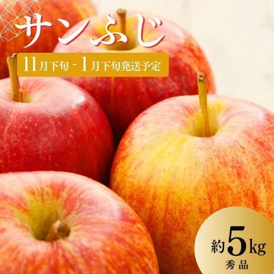 ふるさと納税 福島市 ししどりんご園 りんご「サンふじ」約5kg 秀品[2025年度発送] No.2966