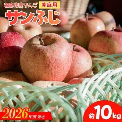 ふるさと納税 福島市 ししどりんご園 りんご「サンふじ」家庭用 約10kg箱入[2026年度発送]No.2965