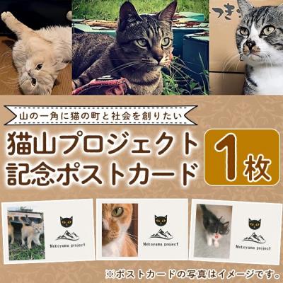 ふるさと納税 霧島市 猫山プロジェクト記念ポストカード[chichinpuipui王国★猫山プロジェクト]K-270