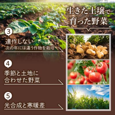 ふるさと納税 東御市 先行予約【里山JAPAN】【4回定期便】生きた土壌で