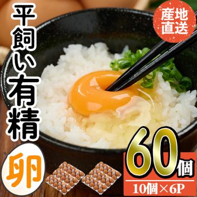 ふるさと納税 佐伯市 産直・平飼い有精卵 (計60個)