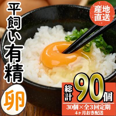 ふるさと納税 佐伯市 <定期便・全3回>産直・平飼い有精卵 (総計90個・30個×3回(4ヶ月おき発送))