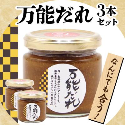 ふるさと納税 高千穂町 万能だれ3本セット