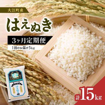 ふるさと納税 大江町 [先行受付]新米[3ヶ月定期便] はえぬき 5kg×3ヶ月[10月頃より順次発送]001-T04