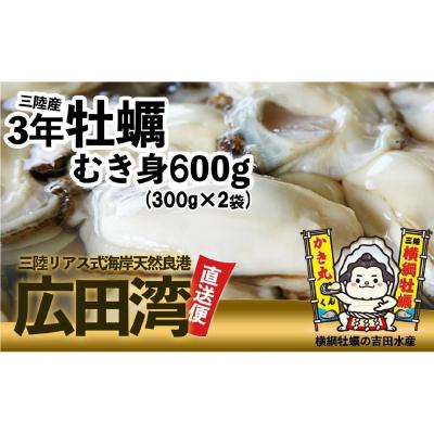 ふるさと納税 陸前高田市 むき身牡蠣 Mサイズ 600g(300g×2p) [ 横綱牡蠣の吉田水産 ] かき カキ 三陸産