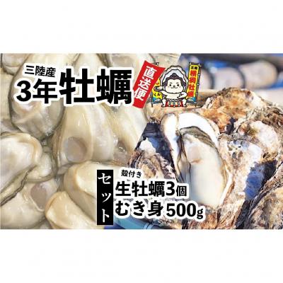 ふるさと納税 陸前高田市 むき身牡蠣 500g+殻付き牡蠣 Mサイズ3個 セット [ 横綱牡蠣の吉田水産 ] かき カキ 三陸