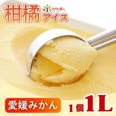 ふるさと納税 愛南町 みかん職人が作った柑橘 アイス 愛媛みかん 1000ml×1 シャーベット みかん職人武田屋