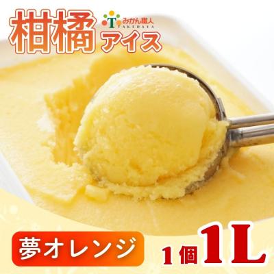 ふるさと納税 愛南町 みかん職人が作った柑橘 アイス 夢オレンジ 1000ml×1 シャーベット みかん職人武田屋