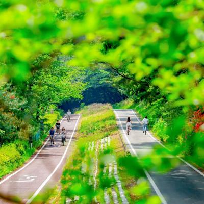 ふるさと納税 滑川町 国営武蔵丘陵森林公園 入園引換券2名様分+施設利用券2,000円分|19_msk-022001 |  | 01