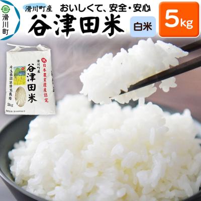 ふるさと納税 滑川町 白米 埼玉県滑川産のお米 谷津田米 5kg 令和7年産|19_nym-010501h