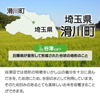 ふるさと納税 滑川町 白米 埼玉県滑川産のお米 谷津田米 5kg 令和7年産|19_nym-010501h |  | 03