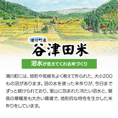 ふるさと納税 滑川町 白米 埼玉県滑川産のお米 谷津田米 10kg 令和7年産|19_nym-011001h |  | 02