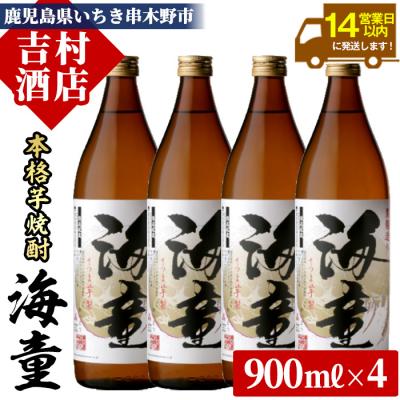 ふるさと納税 いちき串木野市 芋焼酎「海童(かいどう)」900ml×4本 芳醇軽快