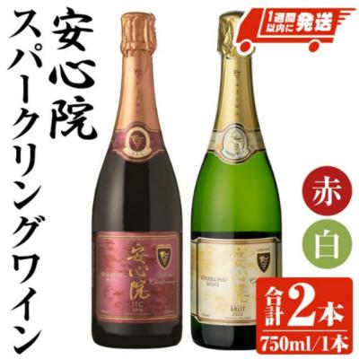 ふるさと納税 宇佐市 安心院スパークリングワイン白・赤(750ml×2本)[107302700][時枝酒店]
