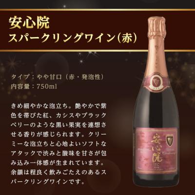 ふるさと納税 宇佐市 安心院スパークリングワイン白・赤(750ml×2本)【107302700】【時枝酒店】 |  | 01