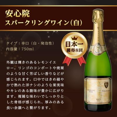 ふるさと納税 宇佐市 安心院スパークリングワイン白・赤(750ml×2本)【107302700】【時枝酒店】 |  | 02