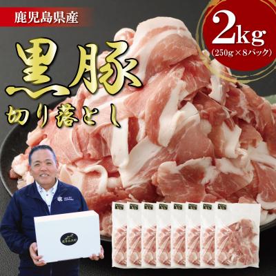 ふるさと納税 薩摩川内市 鹿児島県産 黒豚 切り落とし 2kg(250g×8パック)  鹿児島 豚肉 小分け ASR-2165 | 