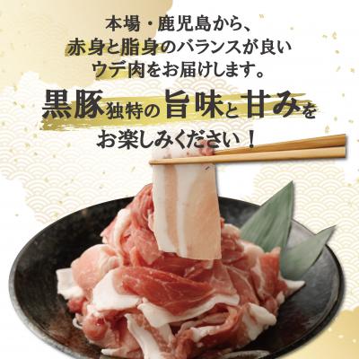 ふるさと納税 薩摩川内市 鹿児島県産 黒豚 切り落とし 2kg(250g×8パック)  鹿児島 豚肉 小分け ASR-2165 |  | 01